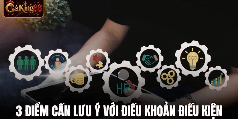 điều khoản điều kiện