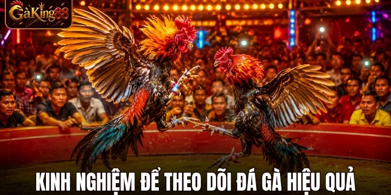 Đá Gà Gaking88