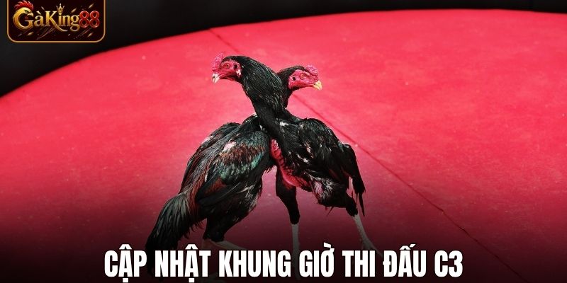 Đá Gà C3 Hôm Nay
