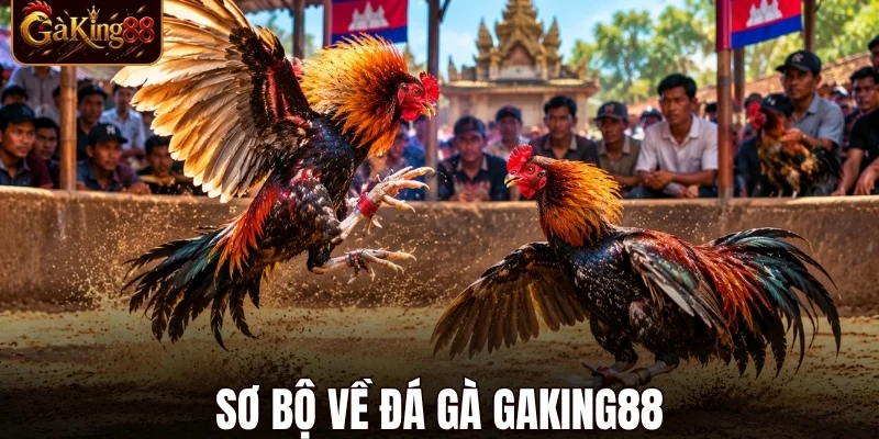 Đá Gà Gaking88