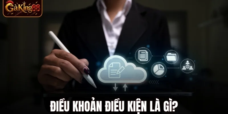điều khoản điều kiện