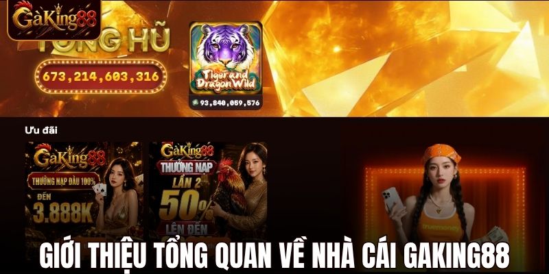 Giới Thiệu Gaking88