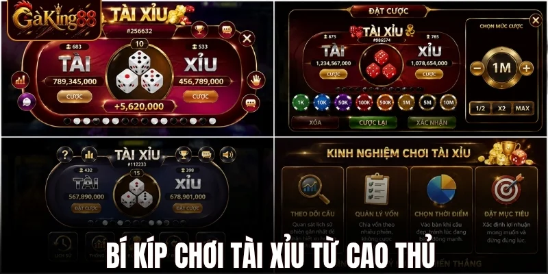 Cách Chơi Tài Xỉu