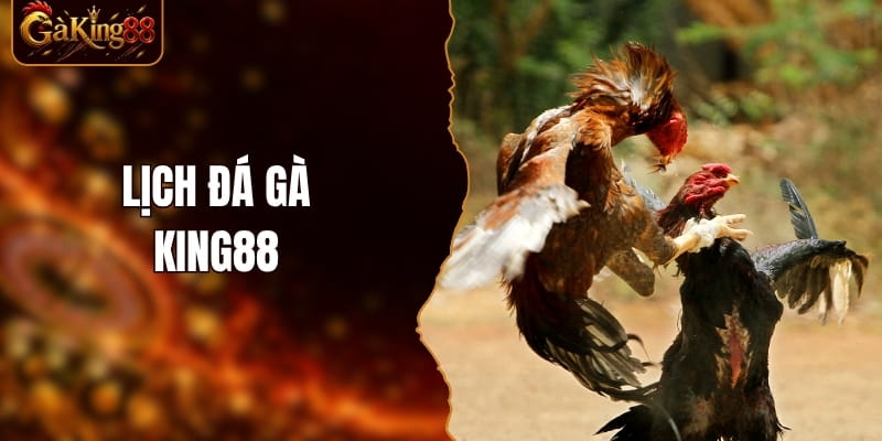 Lịch Đá Gà GAKING88