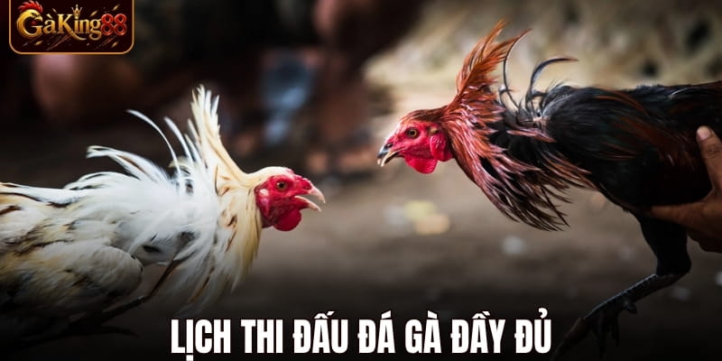 Lịch Đá Gà GAKING88