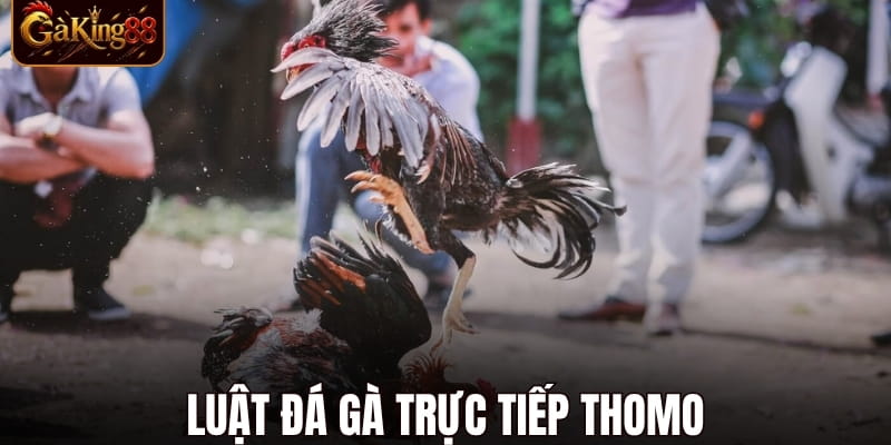 Đá Gà Thomo