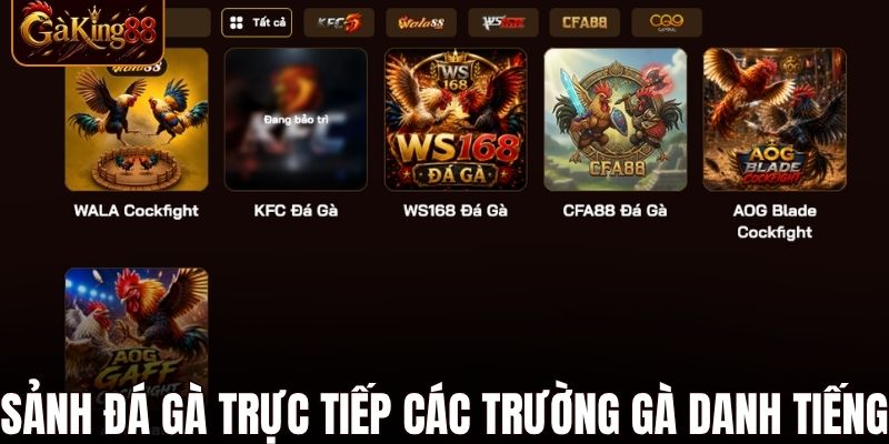 Giới Thiệu Gaking88