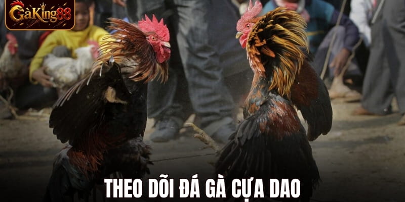 Đá Gà Trực Tiếp