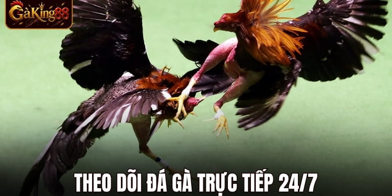 Đá Gà Trực Tiếp