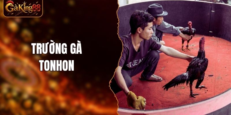 Trường Gà Tonhon