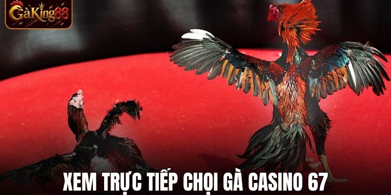 Đá Gà CPC1